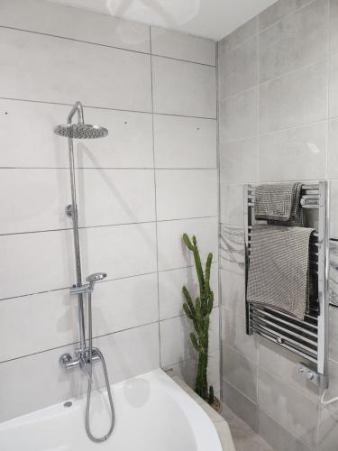 伊科德洛斯维诺斯Casa Salvia Bed and Breakfast的带淋浴和白色浴缸的浴室
