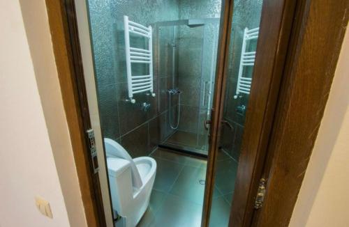 巴库里阿尼RED HOUSE的一间带卫生间和玻璃淋浴间的浴室