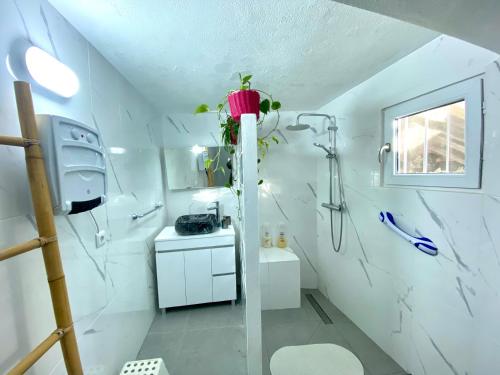 Vale de PradinhosQuinta das flores的带淋浴和盥洗盆的白色浴室