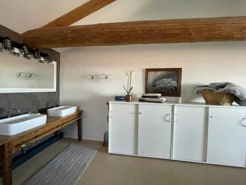 Commelle-VernayLa Grange aux hirondelles - appartement complet et indépendant的一间带两个盥洗盆和木台面的浴室