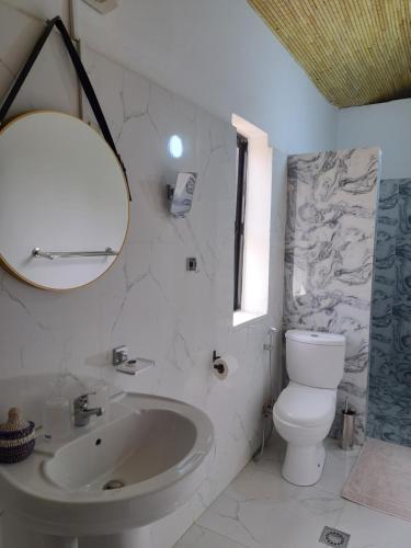 ThièsLa Fandenoise的一间带水槽、卫生间和镜子的浴室