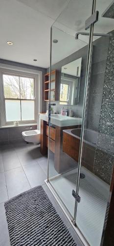 伦敦Highgate Duplex Guest Flat的一间带玻璃淋浴和水槽的浴室