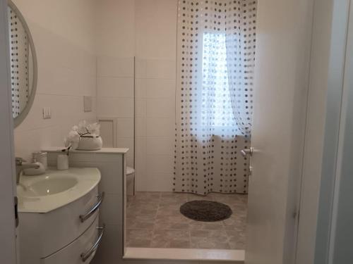 苏尔莫纳Parco delle Rose的白色的浴室设有水槽和淋浴。