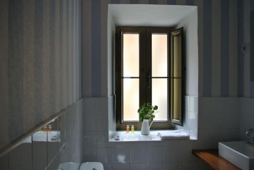 波拉·德莱纳La casa'l cantirín的浴室设有窗户,花瓶内装有植物