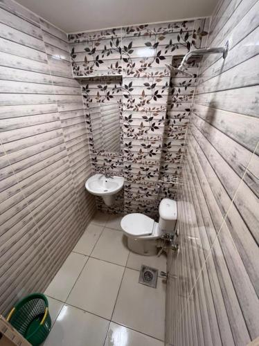 开罗Cairo de casa hostel的浴室设有卫生间和水槽,墙上有鸟类。