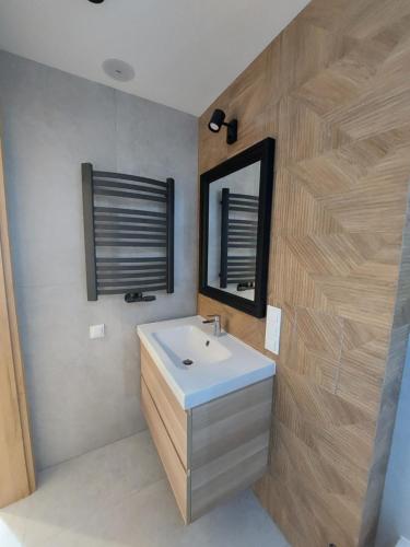 比得哥什Apartamenty Jaskółcza的浴室设有白色水槽和镜子