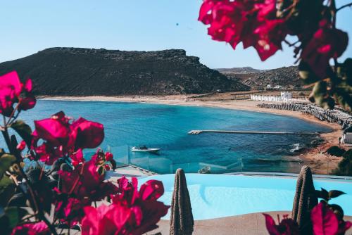 帕诺尔莫斯米科诺斯Panormos Village Hotel的海滩旁的游泳池,有粉红色的花
