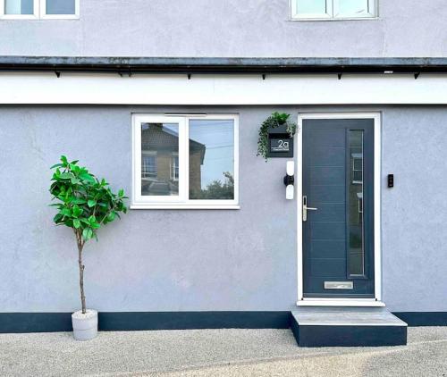 Great Warley StreetThe Modern Smart Home的一座有蓝色门和盆栽的房屋