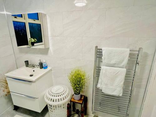 北希尔兹Glamorous Palace with spa bath的白色的浴室设有水槽和毛巾架