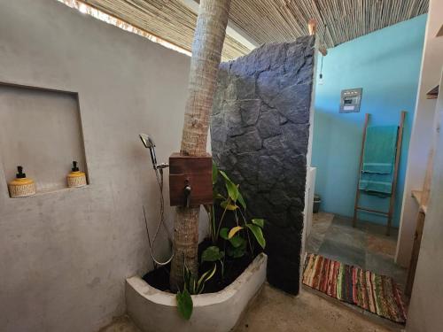 波特雷罗Villas Pura Vibra的带浴缸的棕榈树浴室