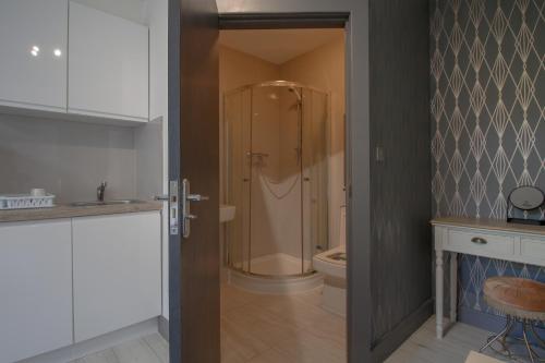 伦敦Double Modern Studio London的带淋浴和卫生间的浴室