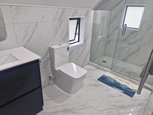 奥克兰Mini Mansion的白色的浴室设有卫生间和淋浴。