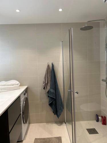 奥斯陆An elegant and exclusive apartment in Bjørvika Oslo的带淋浴的浴室和玻璃门