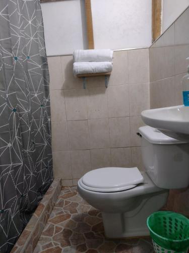 卡利Sapiens house "cabaña del Río"的一间带卫生间和水槽的浴室