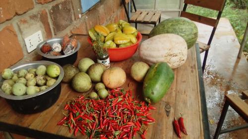 Weru WeruKimashuku permaculture garden的桌子上摆满了水果和蔬菜的桌子