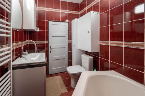 克卢日-纳波卡Casa Ryu的红色瓷砖浴室设有卫生间和水槽