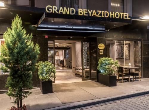 伊斯坦布尔Grand Beyazit Hotel Old City的入口处,前面有两棵盆栽树木