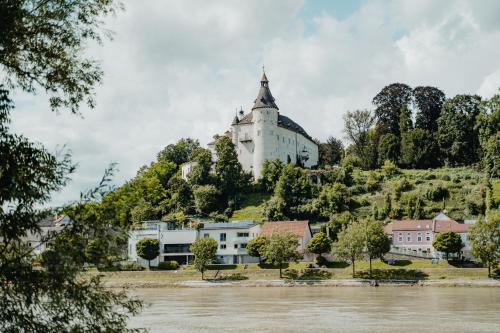 奥滕斯海姆Privatzimmer - Sieben an der Donau的河旁山顶上的城堡
