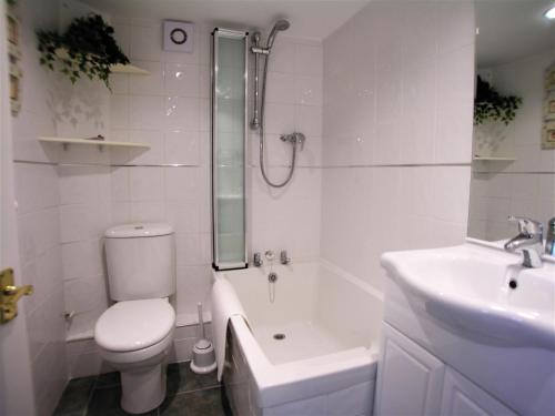 霍尔斯沃西2 Bed in Bude DBANK的浴室配有卫生间、淋浴和盥洗盆。