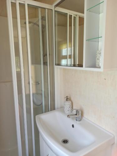 Ubytování Levandule的浴室配有白色水槽和淋浴。