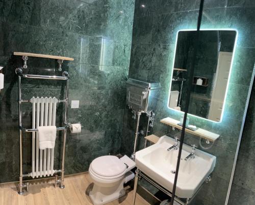 马舍姆耕地旅馆的一间带卫生间、水槽和镜子的浴室