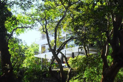 达瓦拉维Sunwin River Cabana的穿过树林的白色建筑
