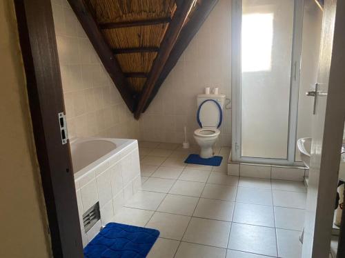 NyangaLovely house on 4 hectares in John Galt Village - 2011的浴室配有卫生间、浴缸和水槽。