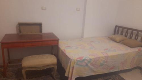 亚历山大مزرعة الدكتور محمد رجب的卧室配有一张书桌和床边的床铺。