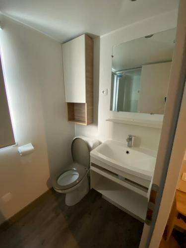 维亚斯Mobilhome的白色的浴室设有卫生间和水槽。