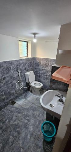 钦奈HOMESTAY - AC 3 BHK NEAR AlRPORT的一间带卫生间和水槽的浴室