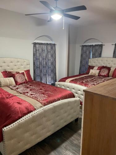 休斯顿Huge one bedroom with 2 Queen size beds的一间卧室配有两张床和吊扇