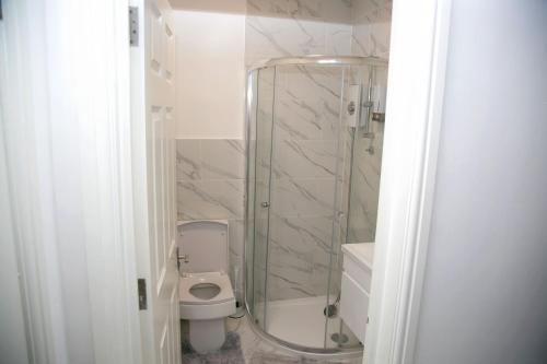 沃特福德Peace Home的一间带卫生间和玻璃淋浴间的浴室