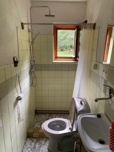 利普托斯基米库拉斯Chata u Lucky的一间带卫生间、水槽和窗户的浴室