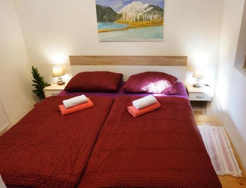 克拉尼斯卡戈拉Jacobs 4 Bedroom Private House的一间卧室配有一张红色大床和两个枕头