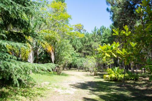 Rincón de los OliverasCasa de Campo en Oceanía的穿过森林的树木和草地的路径