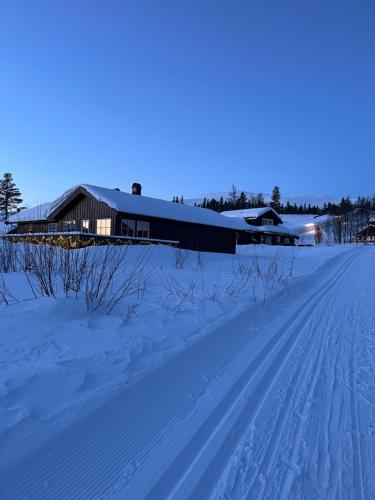 特吕西尔Beautiful cabin close to activities in Trysil, Trysilfjellet, with Sauna, 4 Bedrooms, 2 bathrooms and Wifi的一条有雪覆盖的道路,后面有一座建筑