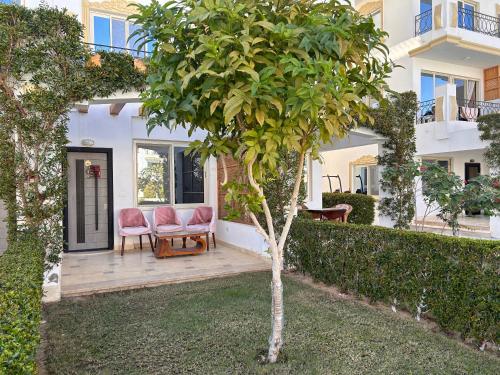 沙姆沙伊赫Studio on the ground floor in Sharm Hills Resort with private garden and pool view的一座房子,两把椅子和一棵树