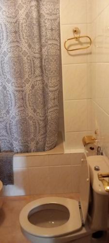 拉那维斯德拉雷纳La Cuestina的一间带卫生间和淋浴帘的浴室