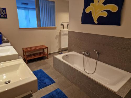 布鲁塞尔福利特之家公寓的带浴缸和盥洗盆的浴室