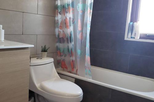YumbelCasa en condominio de parcelas的一间带卫生间和淋浴帘的浴室
