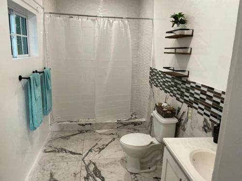 特雷热比奇Bri's On The Beach的浴室配有卫生间、淋浴和盥洗盆。