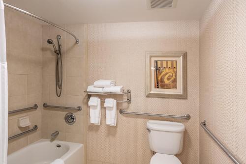 比林斯比林斯希尔顿花园酒店的浴室配有卫生间、浴缸和水槽。