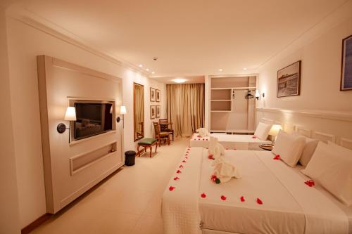 伊塔卡雷Resende Imperial Hotel & Spa的酒店客房设有两张床和电视。