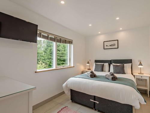 Marldon2 Bed in Totnes 93062的一间卧室设有一张大床和一个窗户。