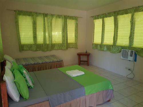 RomblonAglicay Beach Resort的一间卧室配有一张带绿色床单的床和窗户。