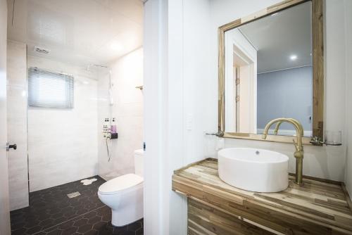 济州市Handongijen Pension的一间带水槽、卫生间和镜子的浴室