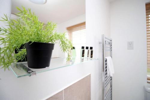 RogerstoneFree Wifi | Parking Access | 3BR的坐于浴室架子上的盆栽植物