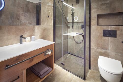 克里姆尔博尔海克全景酒店的带淋浴、卫生间和盥洗盆的浴室