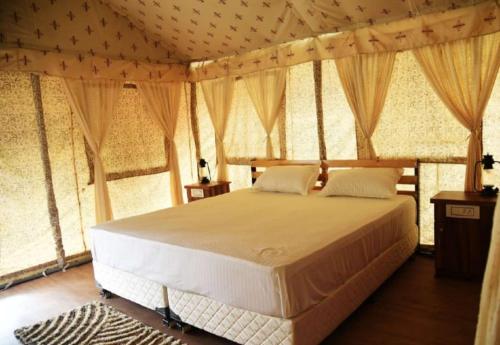 比尔瓦Crazy Cub Camp - A Luxury Campsite的帐篷内一间卧室,配有一张床