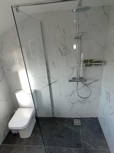 查尔斯敦Tiernan's luxury triple room Ensuite的带淋浴和卫生间的浴室